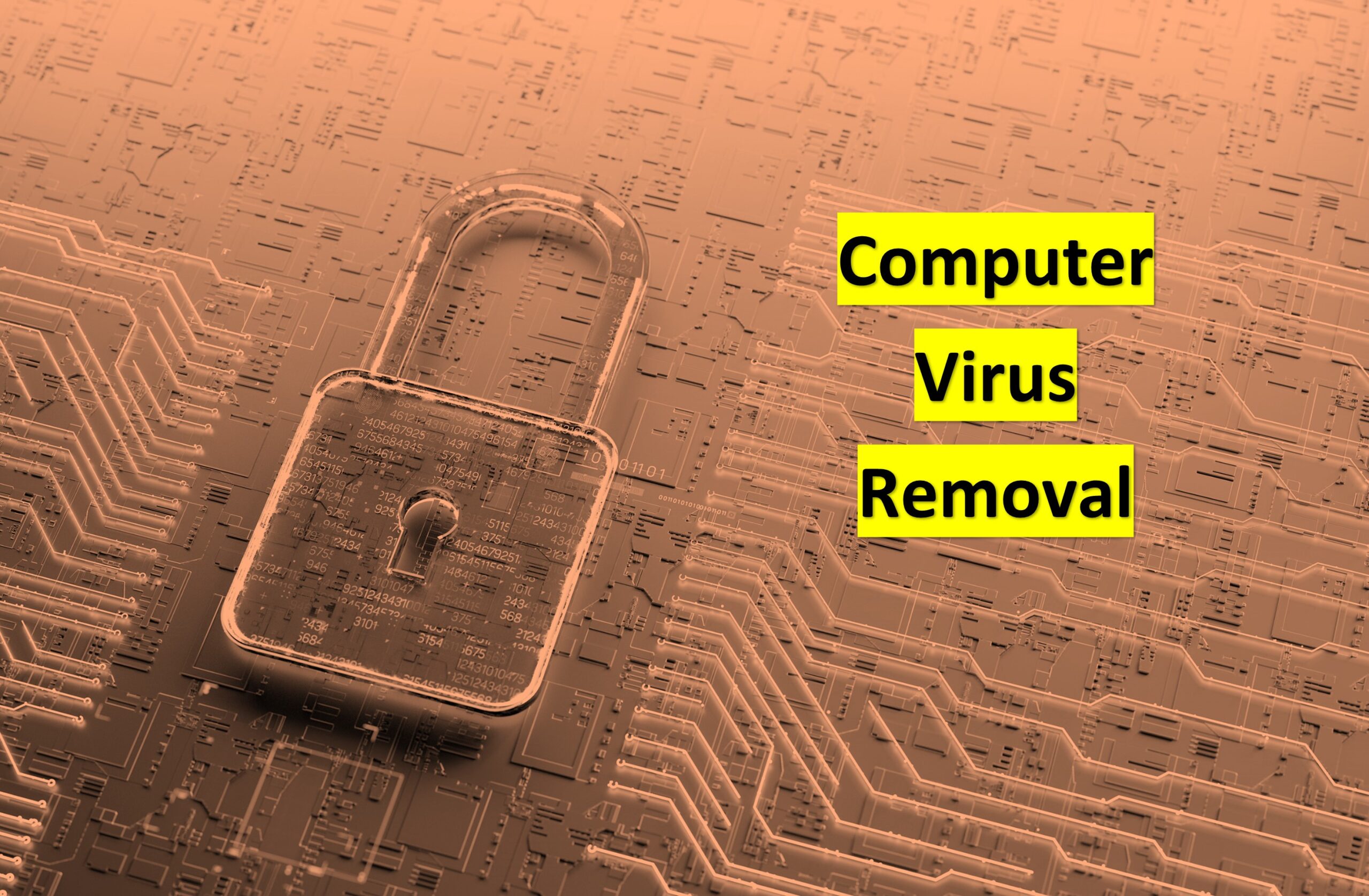 Computer Virus Removal