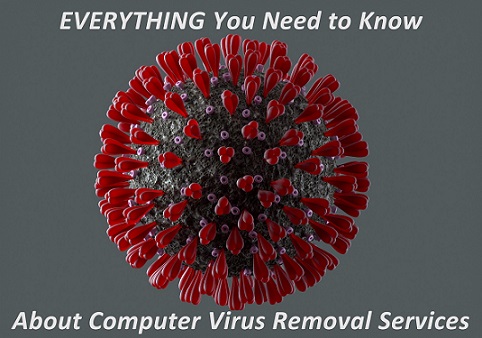 Computer Virus Removal Service